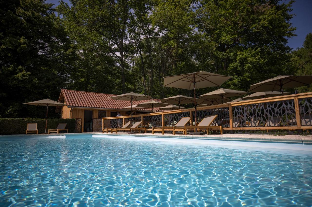 Chateau Des Ayes - Chambres & Suites Saint-Étienne-de-Saint-Geoirs Eksteriør billede