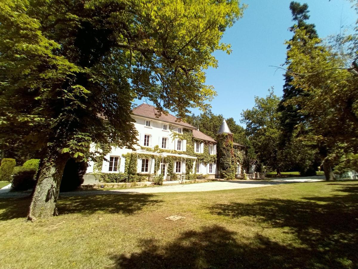 Chateau Des Ayes - Chambres & Suites Saint-Étienne-de-Saint-Geoirs Eksteriør billede